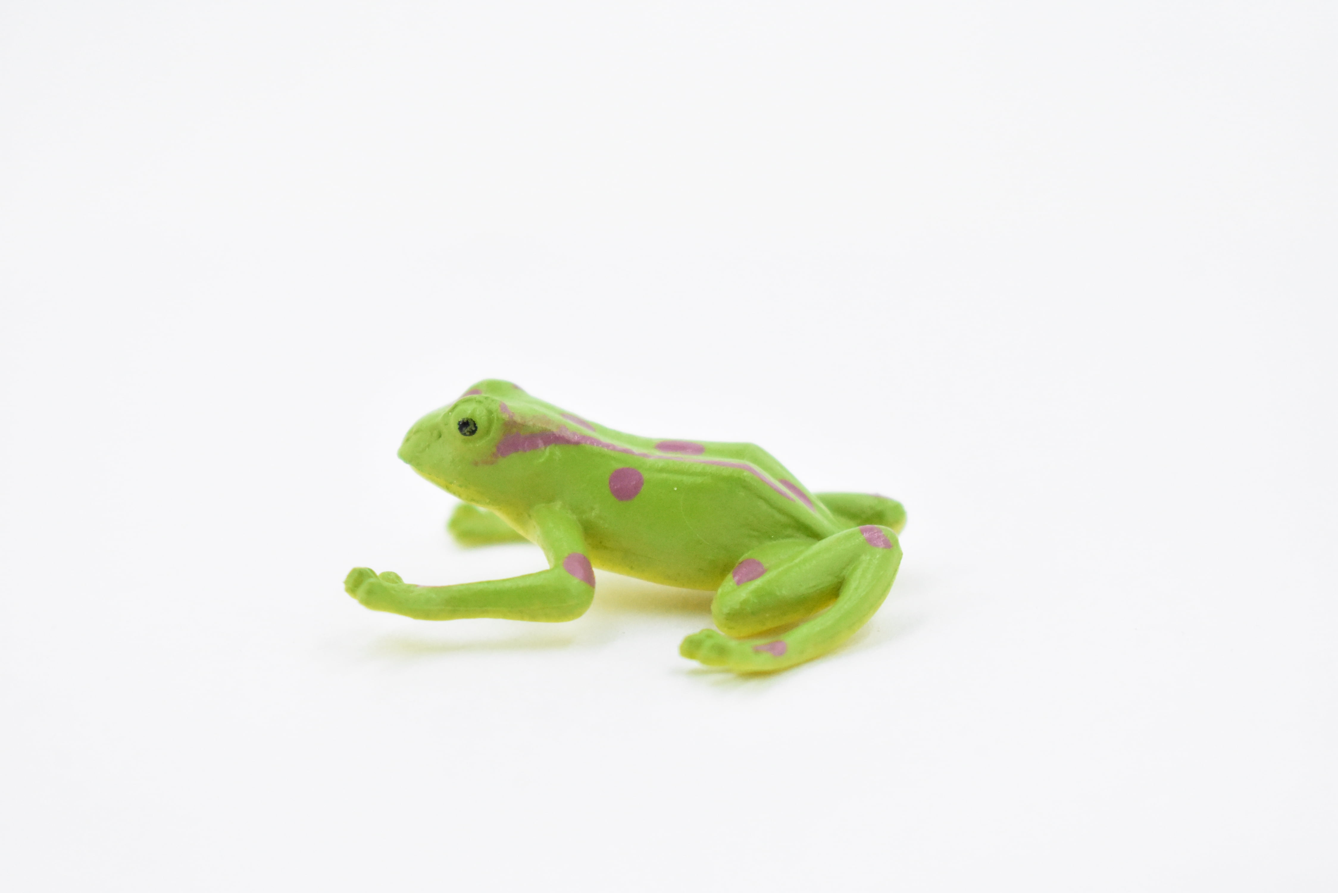 Frog, Green, Plastic Toy, Realistic, Figure, Mode, Replica, Kids,  Educational, Gift, 1 1/2 CWG18 B47