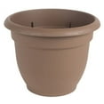 thumbnail image 7 of Bloem Self-Watering Planter, 2 gal Capacity, 10 in Dia 11 in Top x 6 in Base W x 10 in H, Resin, Clay Texture Amaranth, 7 of 7
