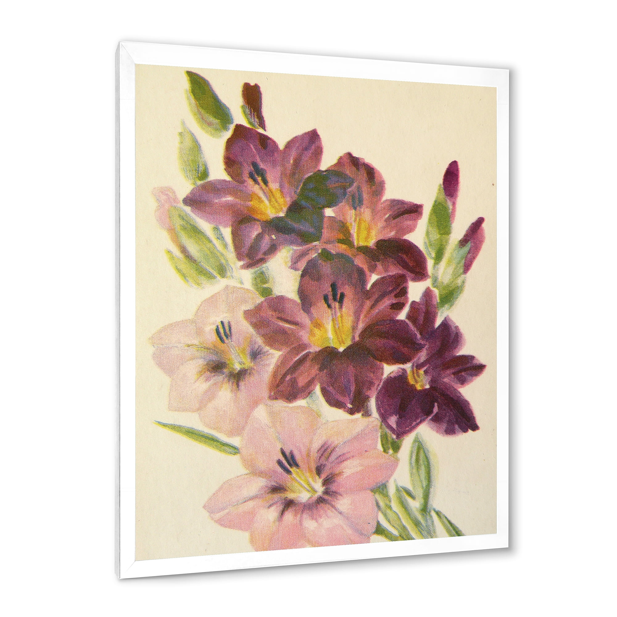 Designart 'Retro Dark and Light Pink Gladiolus' Traditional Framed Art Print