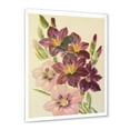 thumbnail image 2 of Designart 'Retro Dark and Light Pink Gladiolus' Traditional Framed Art Print, 2 of 4