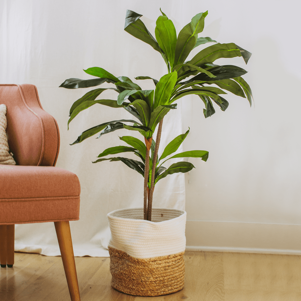 Dracaena Indoor Plant Faux Plants Indoor, Silk Plants for Home Decor