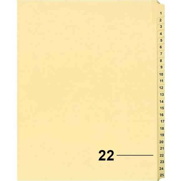 Davisgroup B1125-22 Diviseur d'Indices Numériques Individuels de Litiges 22 - 1 Unité