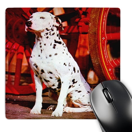 3dRose  Dalmatian  MousePad price history on PriceWatchPro