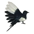 thumbnail image 2 of Magpie Simulation Bird Artificial Bird Decorative Animal Bird Figures Feathered Bird Model for Micro Landscape Garden Lawn 18cm Spread, 2 of 8