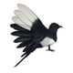 thumbnail image 5 of Pájaro de simulación de urraca, artesanías de pájaros artificiales, figuras de pájaros realistas para arte de jardín Alas extendidas de 18 cm., 5 of 9