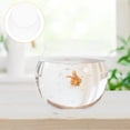 thumbnail image 4 of MasteelfCA 4pcs Mini Plastic Fish Tank Household Goldfish Tank Fish Bowl Aquarium Tank Clear Fish Tank, 4 of 8