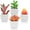 Green&red, variant on Fake Succulents Plants Artificial Potted Faux Plant in Mini Square White Pots for Home Office Bathroom Desk Shelf Decor Set of 4(Green)