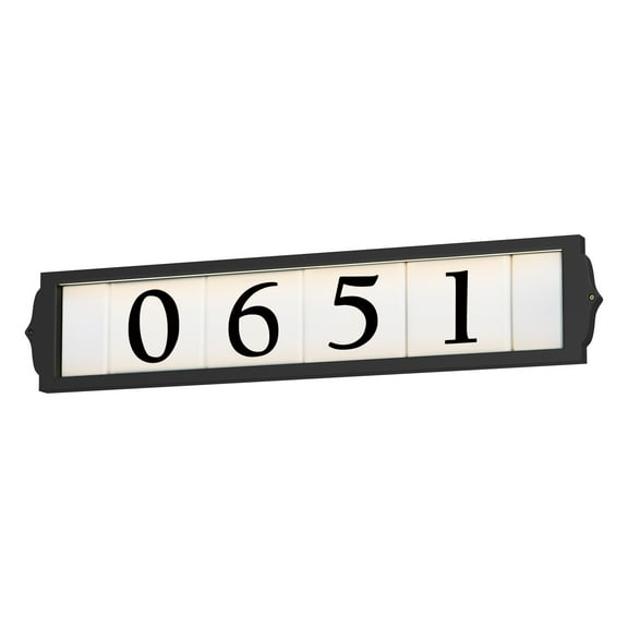 Classic 25 Inch 5.5W 2 Led Outdoor  Frame-Black Finish Maxim Lighting 53650Bk