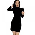 thumbnail image 1 of Printemps / Automne Version Coréenne de Robe Mode Femme Imprimé Zèbre Aguichant Taille Fine Confortable Manches Longues, 1 of 5