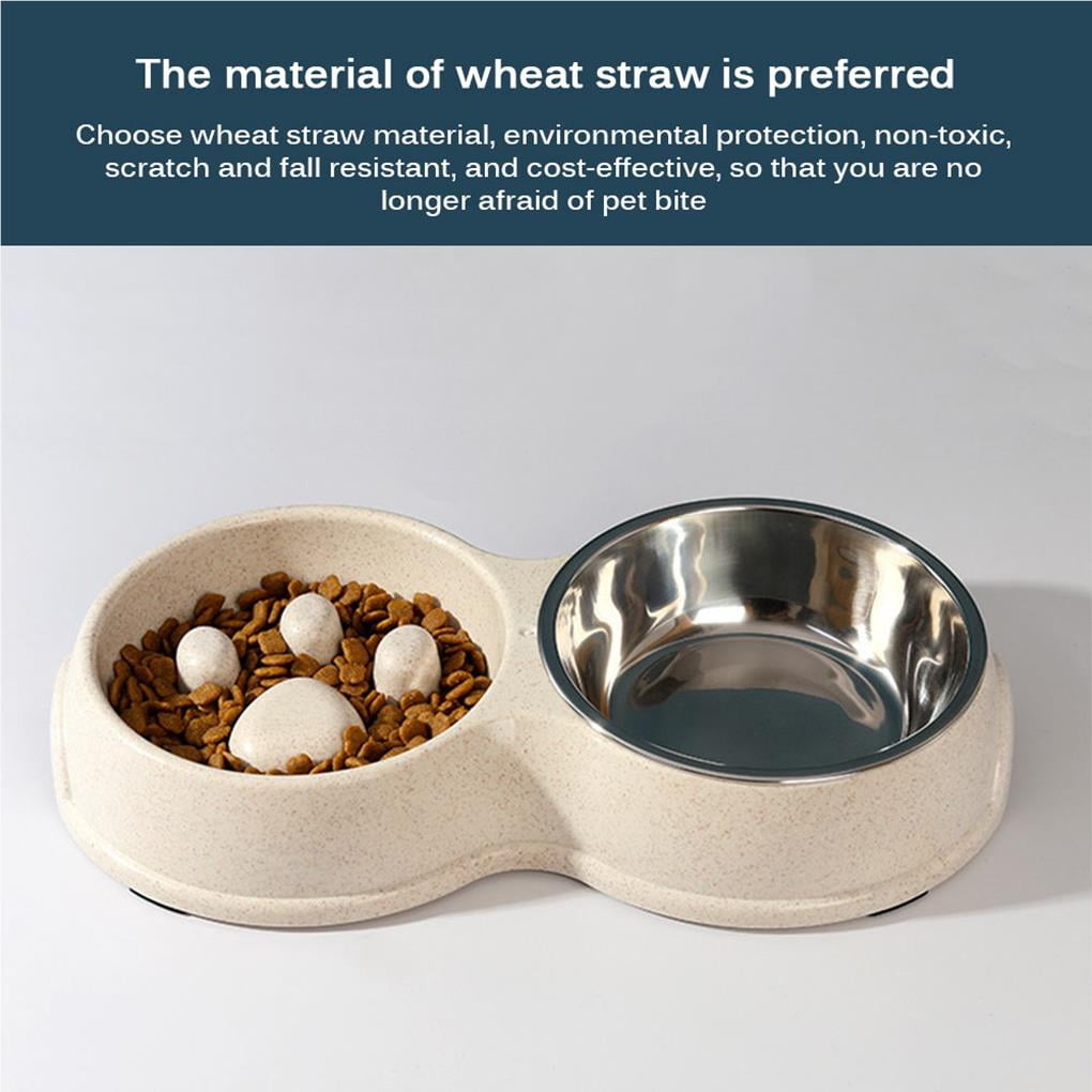 Why Is My Dog Afraid Of His Food Bowl