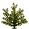 thumbnail image 2 of Vickerman 6.5' x 52" Washington Fra DuraLit 550WW, 2 of 5