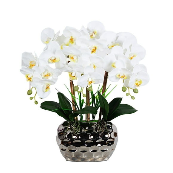 Orquídeas Artificiales Matsuzay Bonsai Phalaenopsis Amarillo Claro Blanco