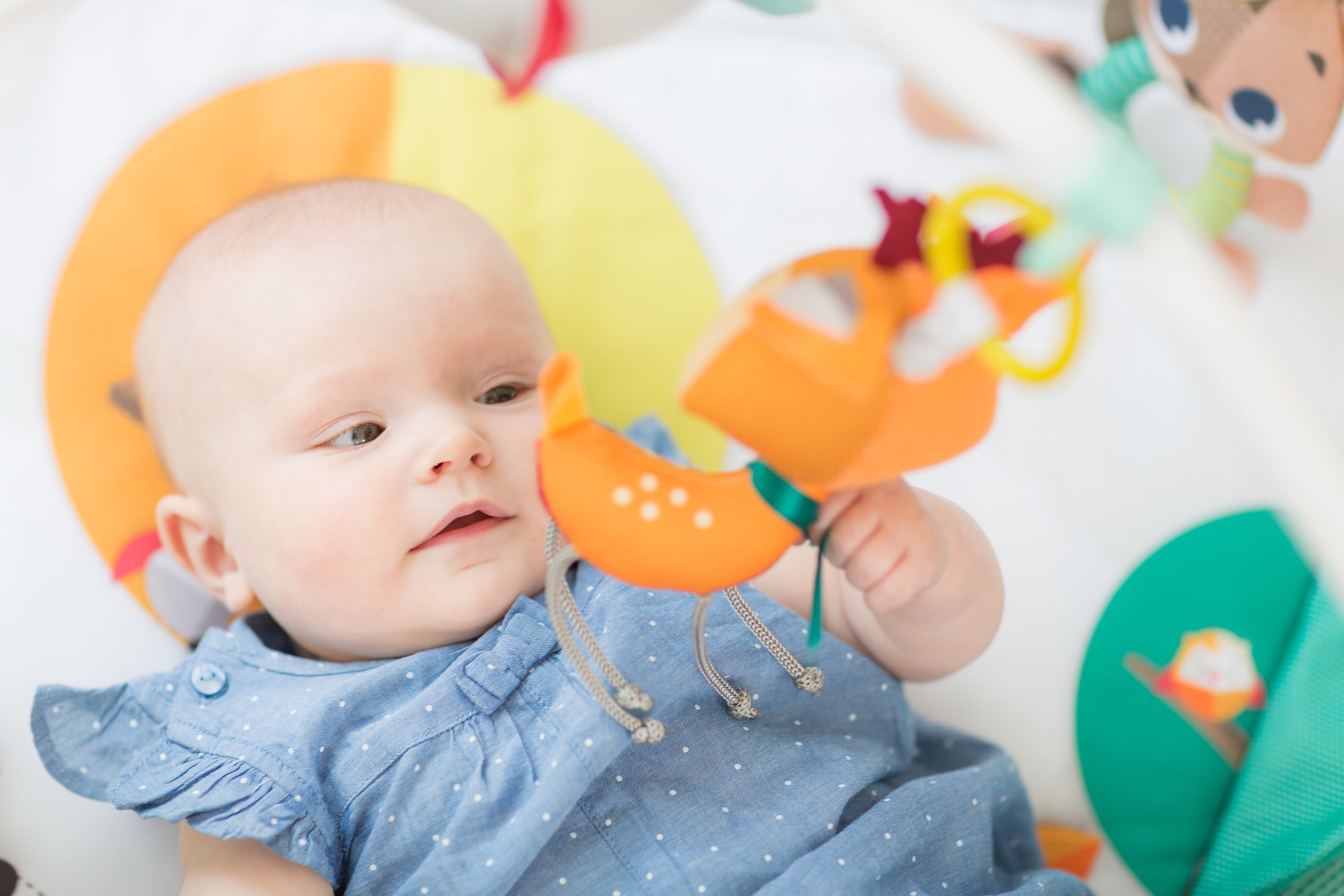 tiny love babygym into the forest