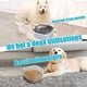 thumbnail image 5 of Cuenco flotante para perros, cuenco para gatos, base antideslizante transparente visible de 2 litros de capacidad extra grande, cuenco de agua para perros antisalpicaduras, fuente de agua de viaje, 5 of 5