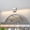 Brushed Nickel, variant on KAISITE 39 inch Modern Bathroom Vanity Light Dimmable Bathroom Light Fixtures with 3500K Warm Light Bedroom