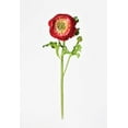 thumbnail image 3 of 13" Faux Red Ranunculus Stem, 3 of 5