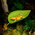 thumbnail image 2 of Decoración de plantas artificiales para tanque de reptiles, camaleón, lagarto, rana arborícola, tortuga, accesorio de terrario, plataforma para tomar el sol con ventosa, 2 of 8