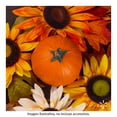 thumbnail image 2 of Calabaza pay por pieza, 2 of 4
