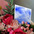 thumbnail image 3 of 3drose, White Clouds and Blue Sky, 12 Greeting Cards with Envelopes, 3 of 7