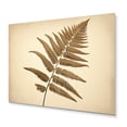 thumbnail image 2 of Designart "Beige Ferns Plant Timeless gracefulness I" Floral Metal Wall Art, 2 of 5