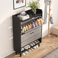 thumbnail image 2 of Tribesigns Shoe Cabinet, 2-Tier Shoe Storage Cabinet with Flip Doors, Vintage Entryway Shoe Organizer Rack with Open Shelves for Narrow Closet, Entryway, Living Room, Black, 2 of 7