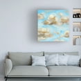 thumbnail image 3 of Melissa Wang 'Floating Clouds II' Canvas Art, 3 of 3