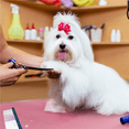 thumbnail image 5 of Renwick 36inch Pet Grooming Table Folding Adjustable Arm with Clamp, Pink, 5 of 11