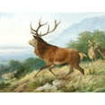 thumbnail image 2 of Carl Friedrich Deiker 18x15 Black Ornate Wood Framed Double Matted Museum Art Print Titled - Red Deer in the Rutting Season (1888), 2 of 5