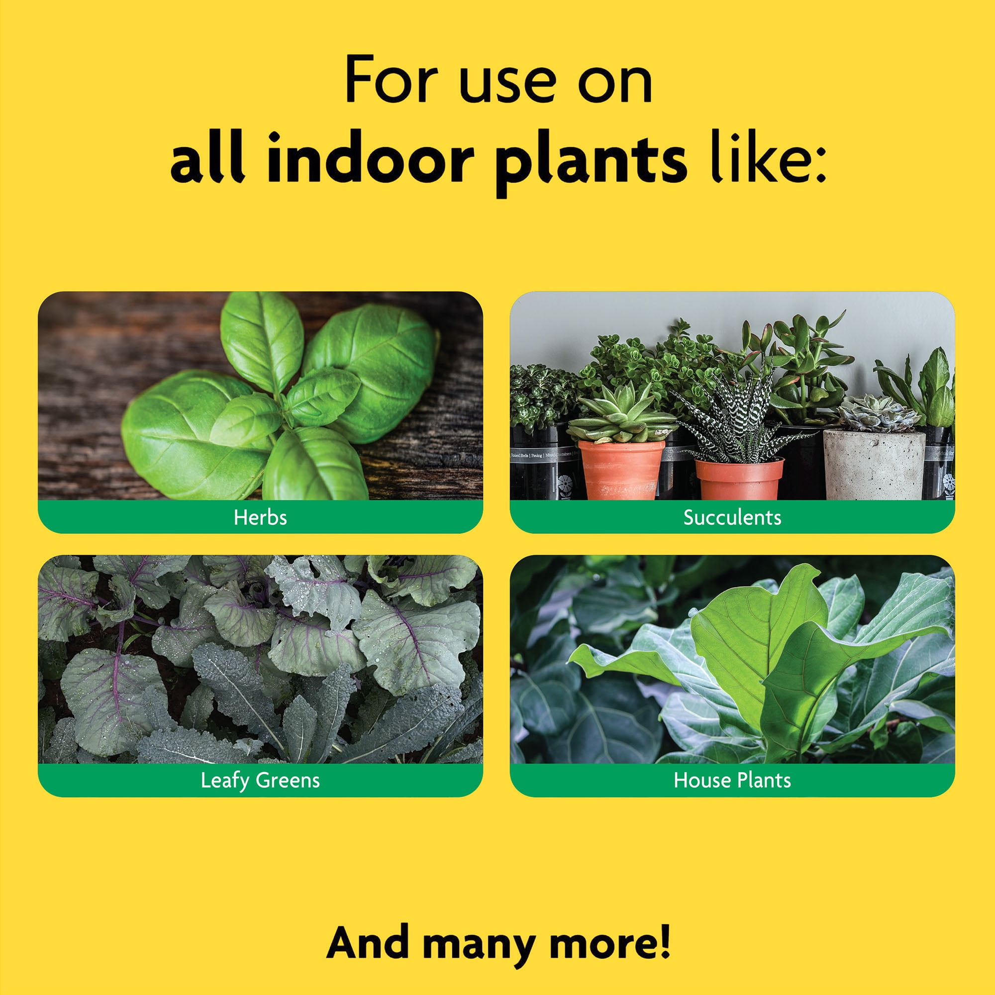 Miracle-Gro A19 10W Grow Bulb