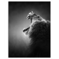 thumbnail image 2 of Design Art - Lion Displaying Teeth, 2 of 4