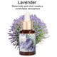 thumbnail image 4 of Aceite Esencial Aromaterapia Aceite Esencial Planta Aceite Esencial Refrescante Aceite Esencial Alivio De La Presión Aceite Esencial Extracto De Planta Refrescante Alivio De La ANGGREK Oro, 4 of 8