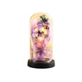 thumbnail image 2 of Weloille Rose Flowers Gifts for Women, Rose Bouquet in Glass Dome with LED Light, Birthday Gifts for Her, Preserved Rose Gifts for Valentines, Anniversaries, 2 of 6