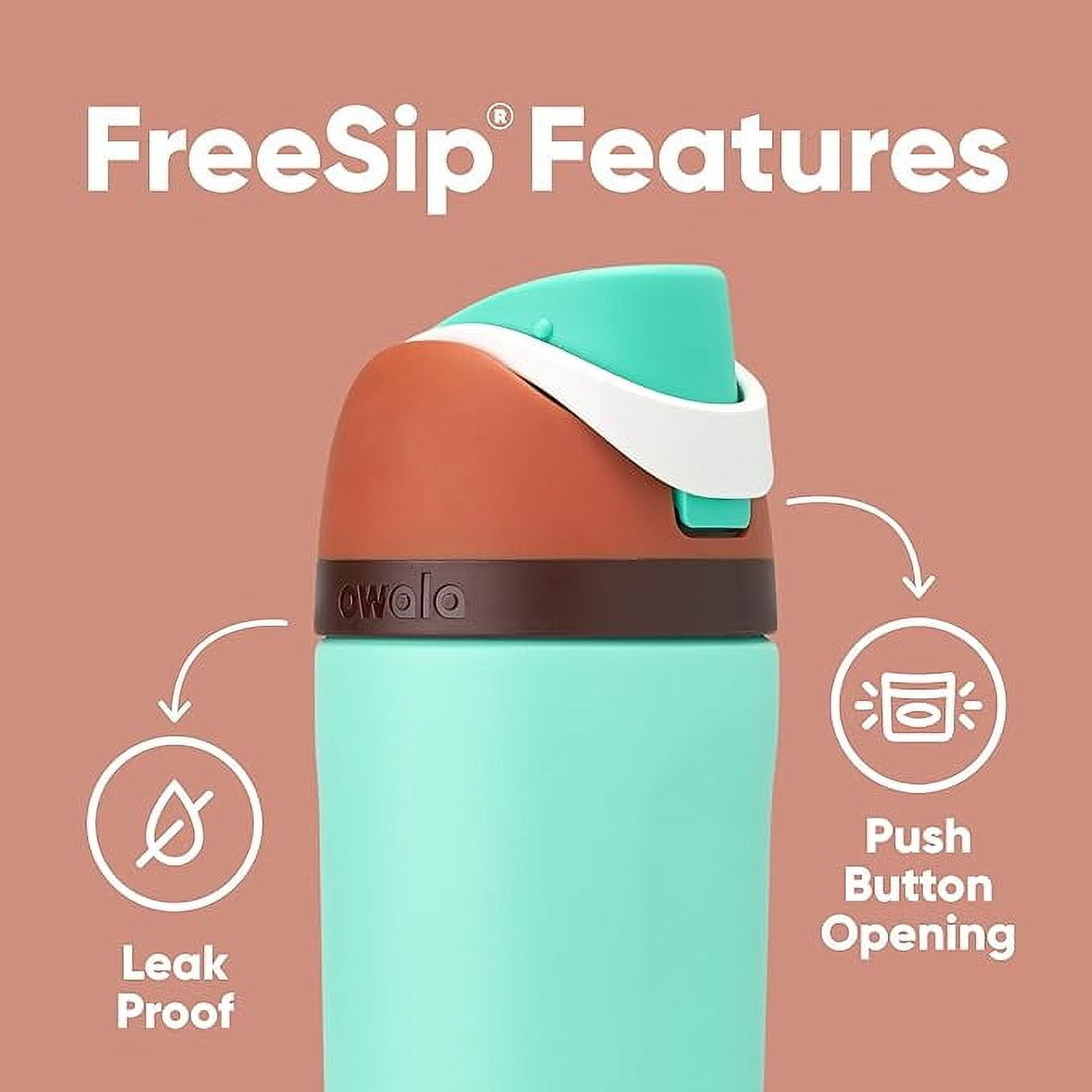 Owala 16oz Kid's FreeSip Stainless Steel Water Bottle, Misty