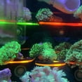 thumbnail image 3 of Fish Tank Coral Frag Rack Aquarium Reef con enchufes Soporte de succión (Verde) Tmvgtek Oficina Multiescena Multifunción, 3 of 9