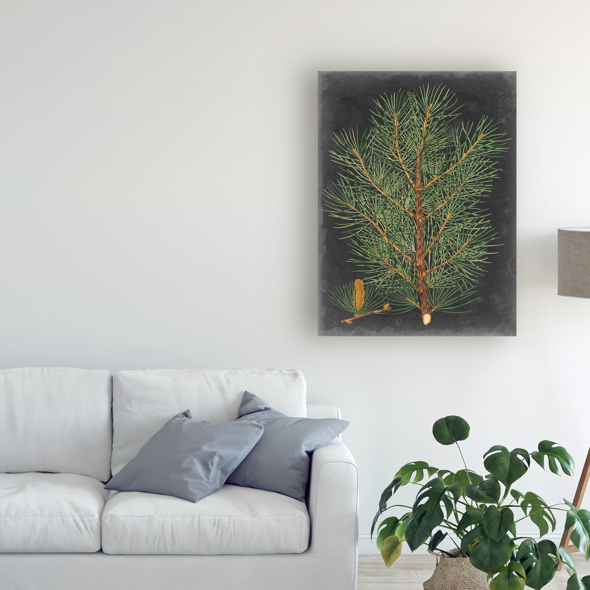 Trademark Fine Art 'Dramatic Pine Ii' Canvas Art by Vision Studio