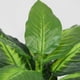 thumbnail image 4 of Fake Plants Artificial Potted Faux Ever Plants Compatible With, 4 of 5