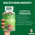 thumbnail image 4 of VITINITY Made with Organic Superfood Veggies Vitamin Supplement for Women & Men-Blend of Veggies for Daily Health.Veggies Capsules Supplement (30-Day Supply), 4 of 5