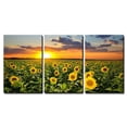 thumbnail image 2 of wall26 - 3 Piece Canvas Wall Art - Field of Blooming Sunflowers on a Background Sunset - Modern Home Art Stretched and Framed Ready to Hang - 16"x24"x3 Panels, 2 of 4