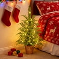 thumbnail image 5 of Taotanxi 3ft Pre-lit Twinkle Christmas Norfolk Pine Tree with LED Light Realistic Artificial Trees with Woven Basket Base Xmas Holiday Decor for Indoor Living Room Home (Norfolk Pine Tree), 5 of 7