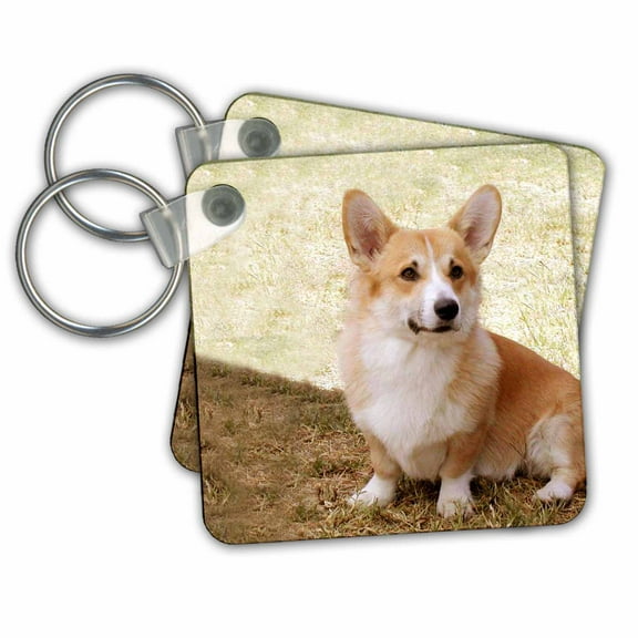 3dRose, Pembroke Welsh Corgi, set of 2 Key Chains
