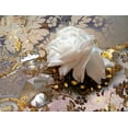 thumbnail image 2 of Lavoie, Tina 24x19 Black Ornate Wood Framed with Double Matting Museum Art Print Titled - Winter Rose, 2 of 4