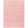 Hauteloom Faina Machine Washable Solid Shag Rug Plain Living Room
