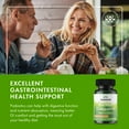 thumbnail image 3 of Swanson Bacillus Coagulans - Natural Probiotic Supplement Supporting Digestive Health w/ 6 Billion CFU - May Support GI & Overall Gut Health - (60 Veggie Capsules)(3 Pack), 3 of 8