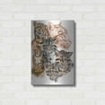 thumbnail image 3 of Luxe Metal Art 'Clouded Leopard with Ghost Image' by Barbara Keith, Metal Wall Art, 16"x24", 3 of 9
