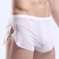 thumbnail image 4 of Sexy Men's Mesh Ultra Thin Boxer Shorts And Underpants Side Split Trunks Brief Panties Underwear Men Boxers Man Pack XXL Red|https://ae01.alicdn.com/kf/Saa2b84a610404ae9b7c5141f2d90a80bQ.jpeg, 4 of 5