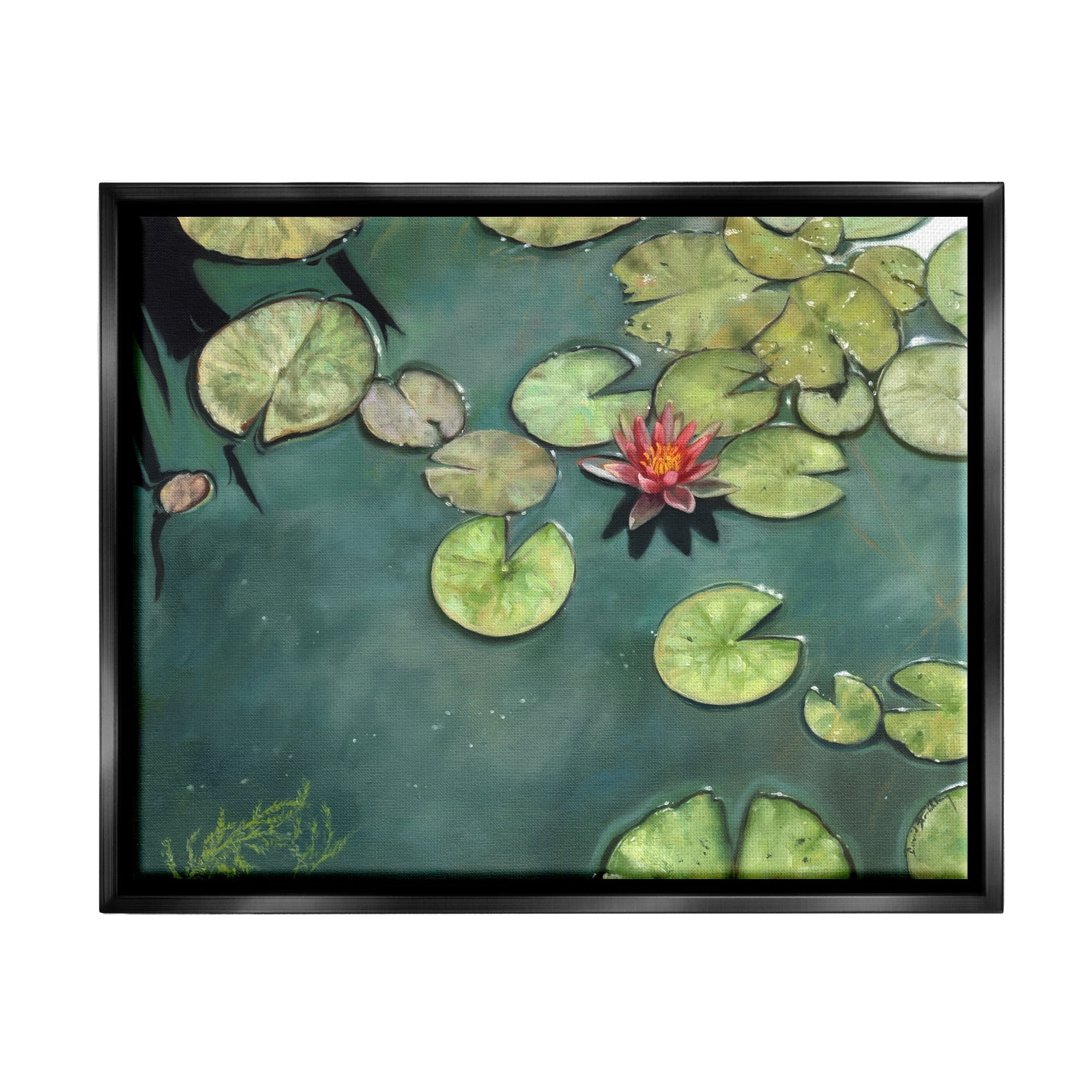 Stupell Industries Pond Lily Lotus Blossom Floating Peaceful Botanicals Painting Jet Black Floating Framed Canvas Print Wall Art, Design by David Stribbling