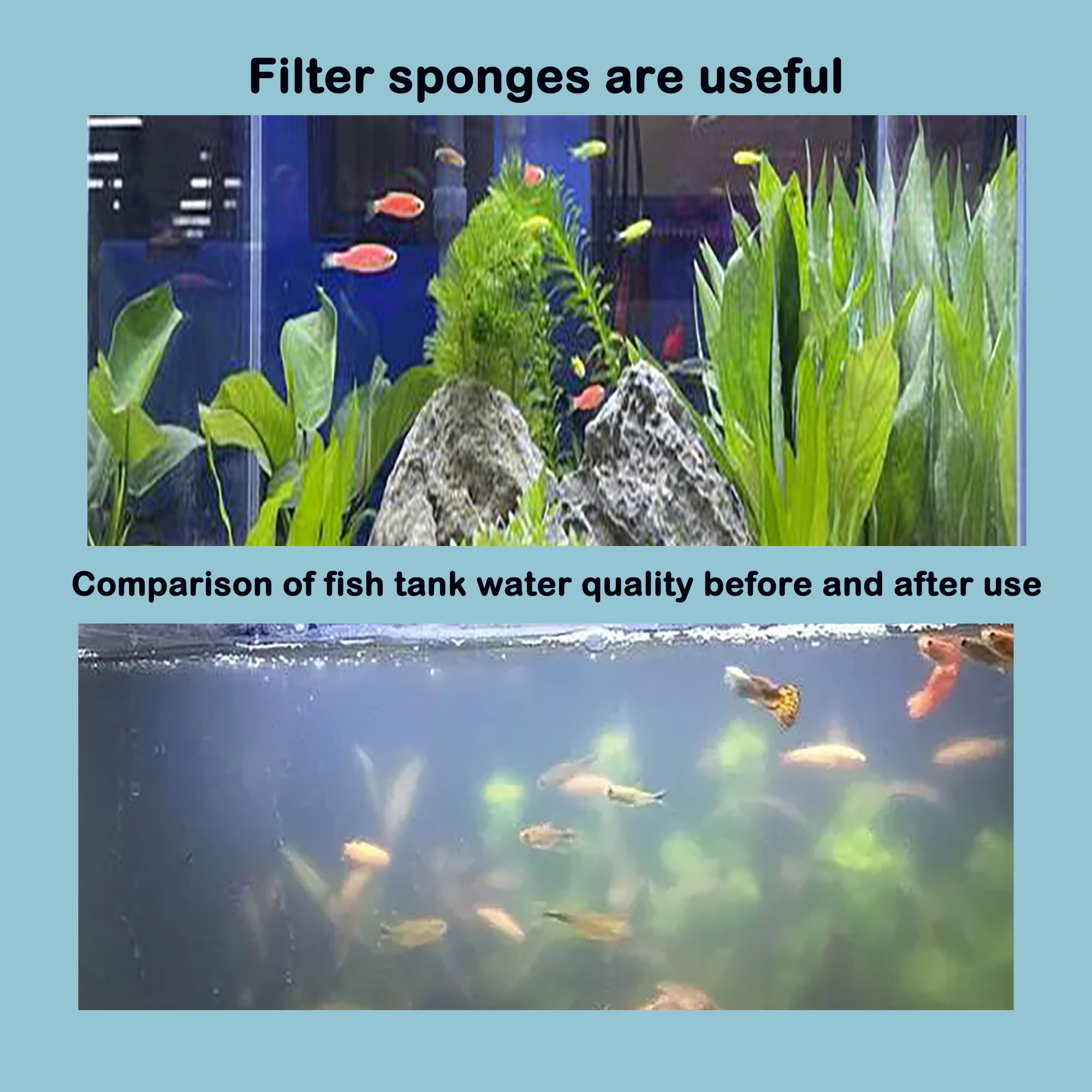 TropicAqua Filter Intake Sponge for Aquaclear Sponge Filter Aquarium Fish Tank - Fits Aqueon Quietflow 50/55/75, Fluval C3/C4 (Pack of 12)