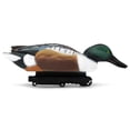 thumbnail image 3 of Final Approach Live Floating Northern Shovelers, Decoy 6 Pack, 3 of 6