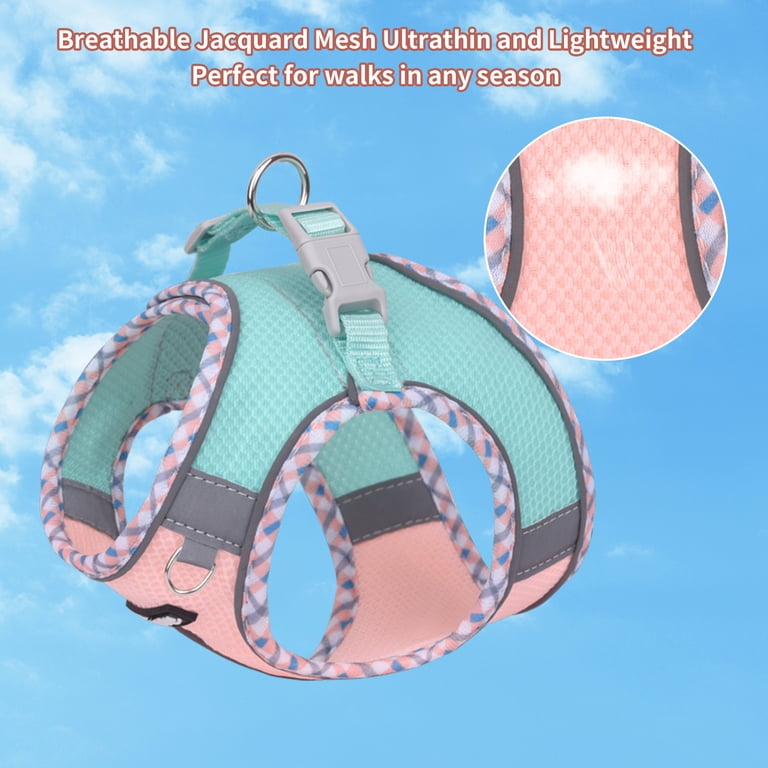 AIITLE Escape-Proof Dog Harness with Leash, Medium, Turquoise-Pink photo 7