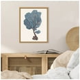 thumbnail image 2 of Amanti Art Indigo Reef IV Framed Canvas Wall Art Print, 2 of 7